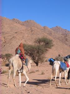 Approche du puits de Tadness