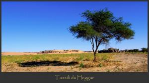 Tassili du Hoggar