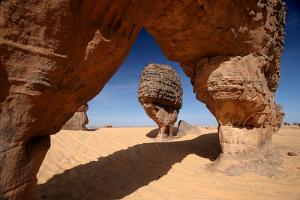 Under the Belly of the Beast