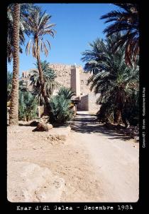 Ksar et minaret d'El golea