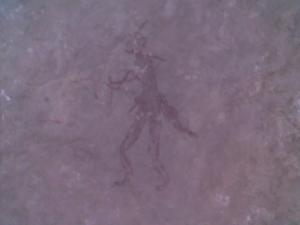 Gravures rupestres Chasseur