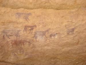 Gravures rupestres Vaches