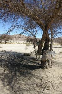 Zone de ravitaillement pour nomades