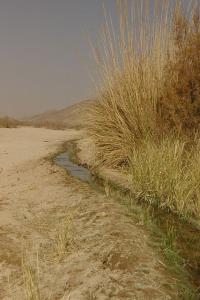 Systeme d'irrigation