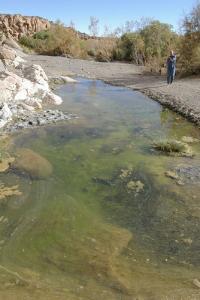 Riviere dans le sahara