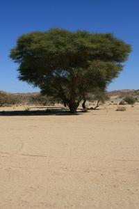 En route vers Imberoum