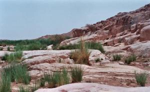 Tamanrasset  parc de l'Ahaggar
