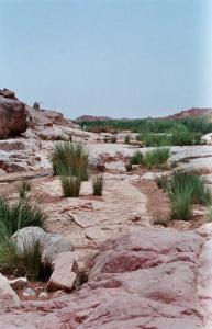 Tamanrasset  parc de l'Ahaggar