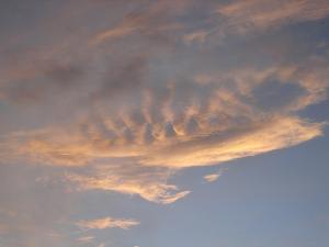 Fouetesse-tamanrasset