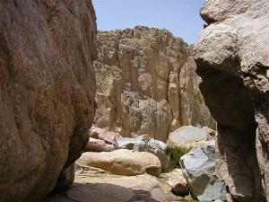 hoggar Tamanrasset
