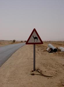 Tintarabin Tamanrasset