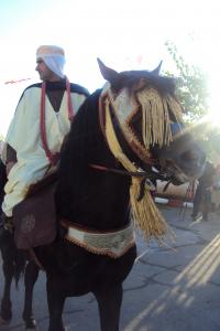 le 1er festival nle du tourisme équestre tiaret du 1 novembre au 4 novembre 2011