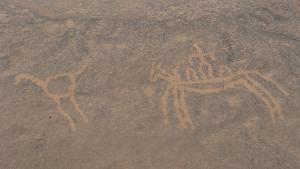 Art rupestre a tamanrasset algerie