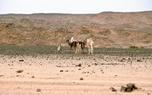 Vers Djanet a partir de Tamanrasset