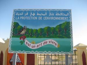 peintres du desert a tamanrasset