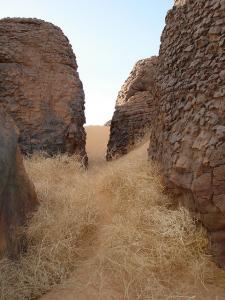 Youf Ahakit-Tassili n'Ahaggar-tamanrasset