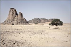 Algerie - Hoggar