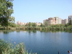 Bejaiale lac ihadadden