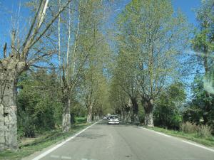 La route vers Bejaia