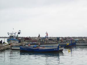 Port de pêche à  Bejaïa