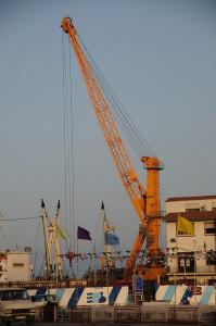 Grue sur le port de Béjaïa