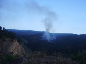 Incendie de forêt aux confins de Tizi-Ouzou et Béjaia