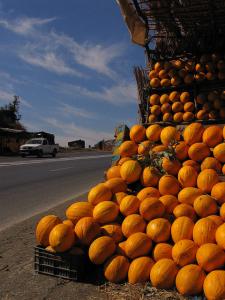Melons