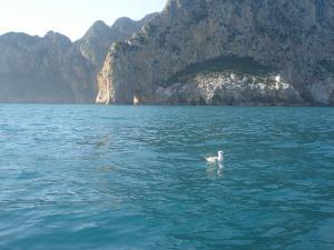 sortie en mer du 02 Fevrier 2008 074