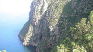 Bejaia