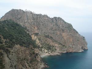 PROMENADE/CAP CARBON