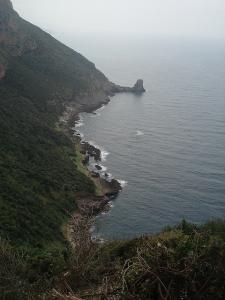 PROMENADE /LES GRANDES SALINES