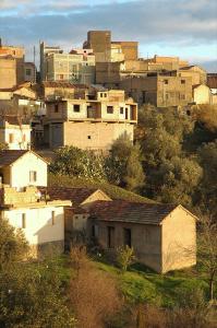 Soleil d'un matin d'hiver