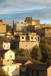 Matinée Ensoleillée