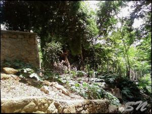 Le musée des beaux arts