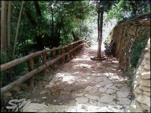 Le musée des beaux arts