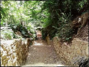 Le musée des beaux arts