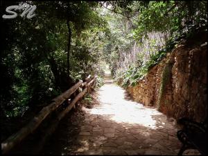 Le musée des beaux arts