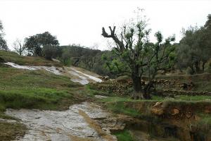 Sur la route de montagne