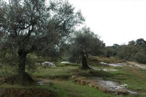 Sur la route de montagne