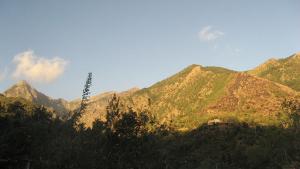 Montagne ensoleillée