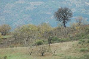 Sur la route de montagne
