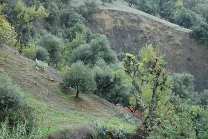 Sur la route de montagne