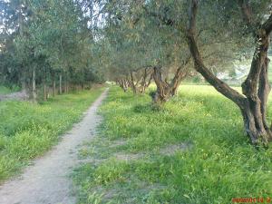 Sentier Ideraken Timezrit