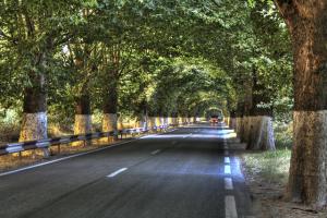 En Route pour Béjaia