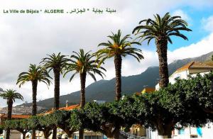 Béjaia, des Palmiers à la Hollywood