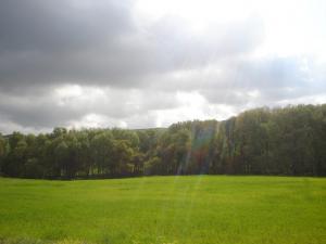 La Verdure à Perte de Vue