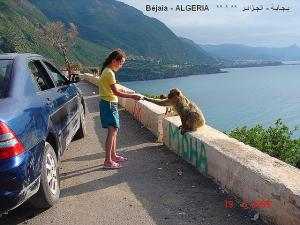 Bejaia ALGERIE