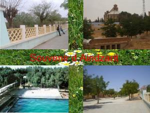 Ain-dzarit, algerie, carte postale