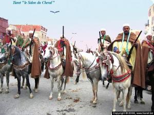 tiaret Le salon du cheval