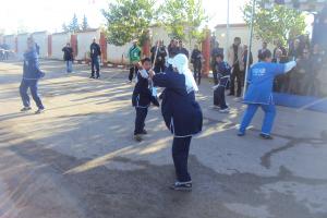 le 1er festival nle du tourisme équestre tiaret du 1 novembre au 4 novembre 2011